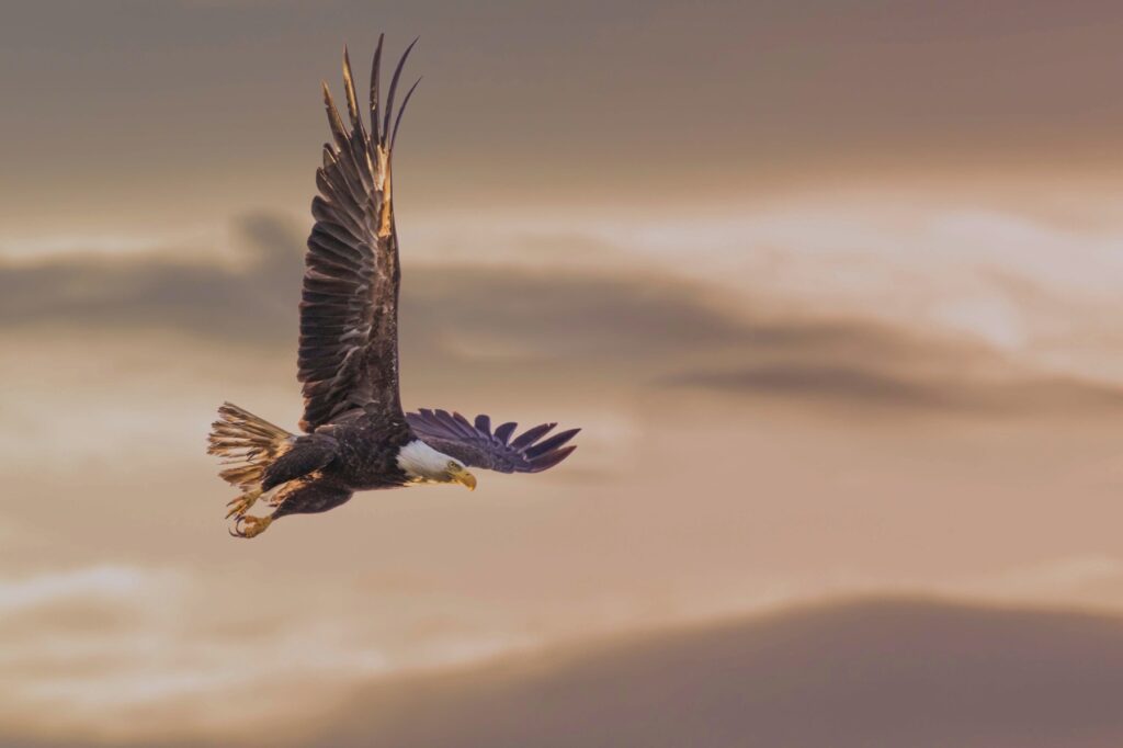 Read more about the article Gdy rodzi się pytanie o wolność